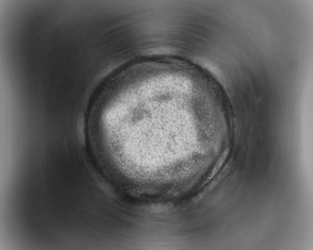 X0000091930345200709261918