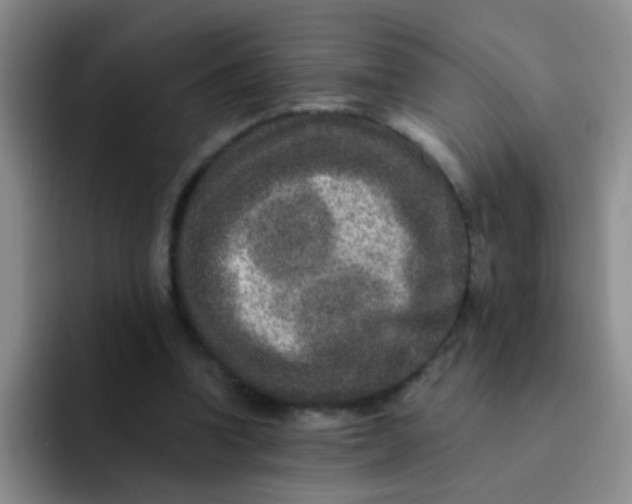 X0000091930346200709261918