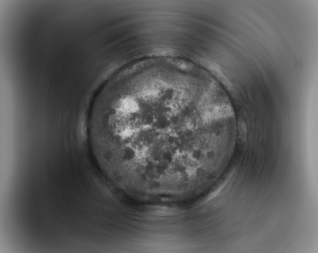 X0000091930347200709261918