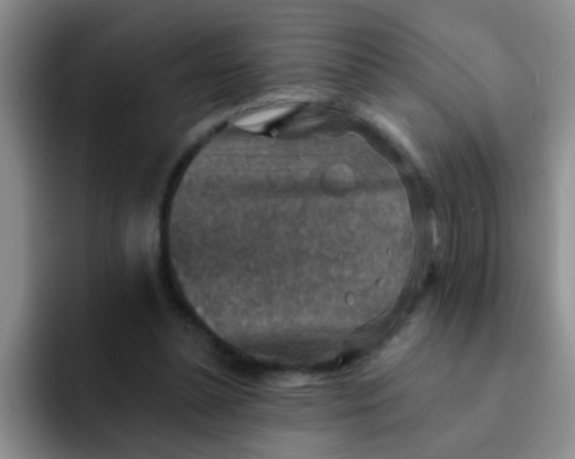 X0000091930348200709261918