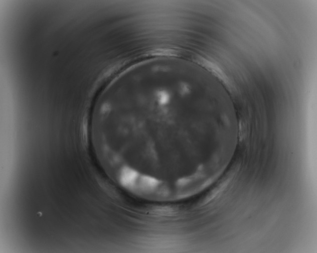 X0000091930349200709261918
