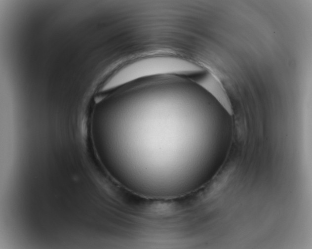 X0000091930350200709261918