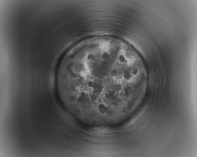 X0000091930351200709261918
