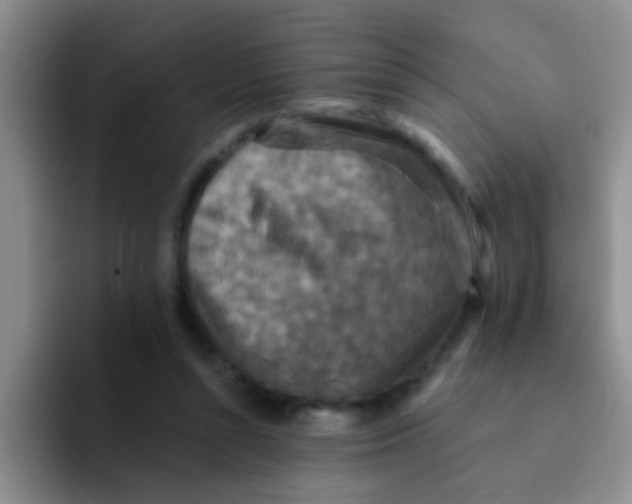 X0000091930352200709261918