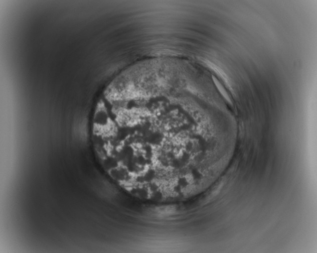 X0000091930353200709261918