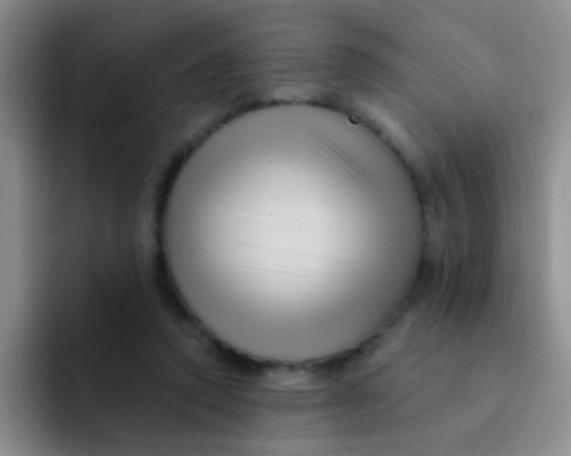 X0000091930354200709261918
