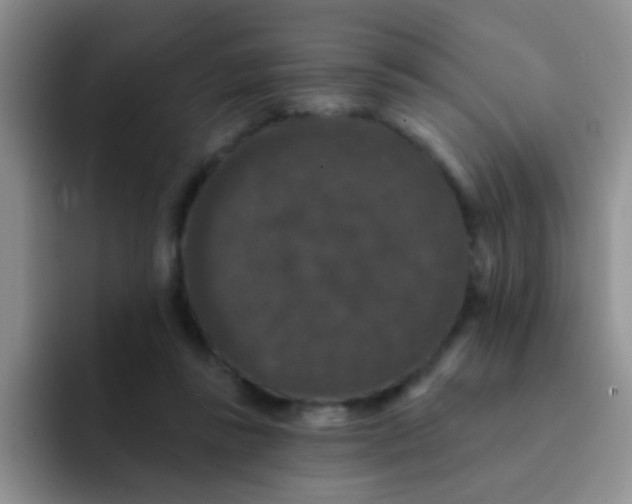 X0000091930355200709261918