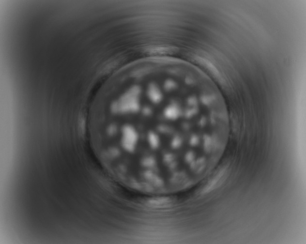 X0000091930357200709261918