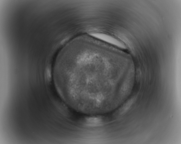 X0000091930358200709261918