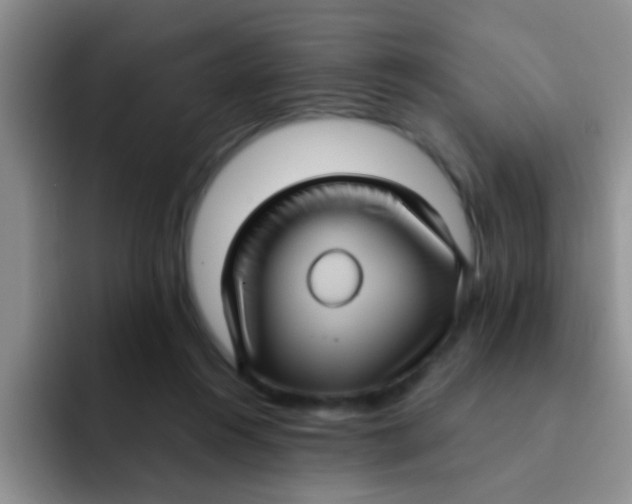 X0000091930360200709261918