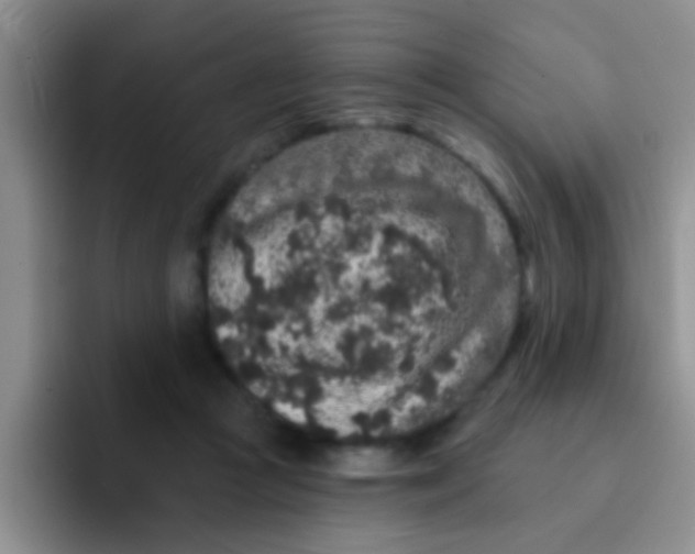 X0000091930361200709261918