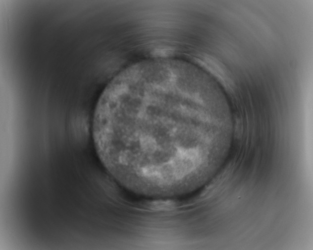 X0000091930363200709261918