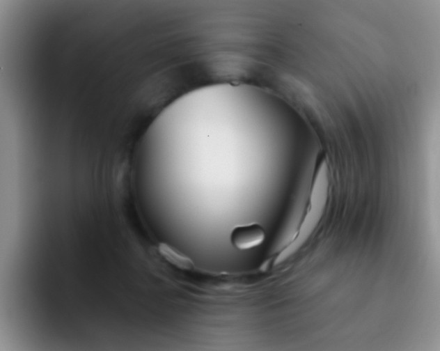 X0000091930364200709261918