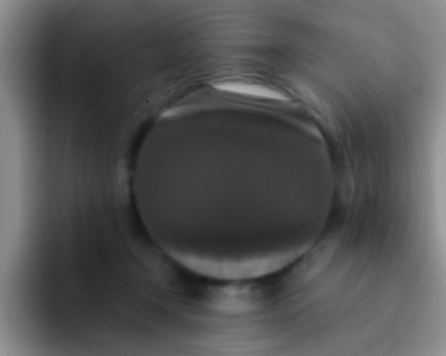 X0000091930366200709261918