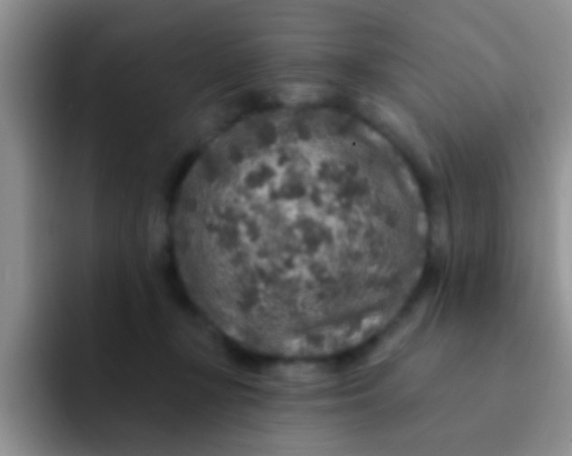 X0000091930367200709261918