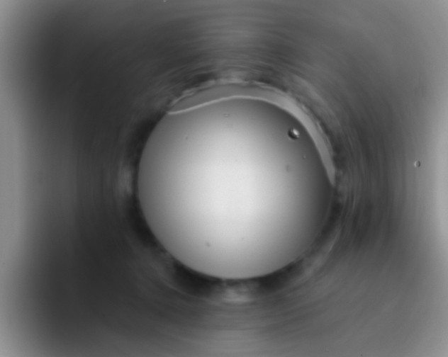 X0000091930368200709261918