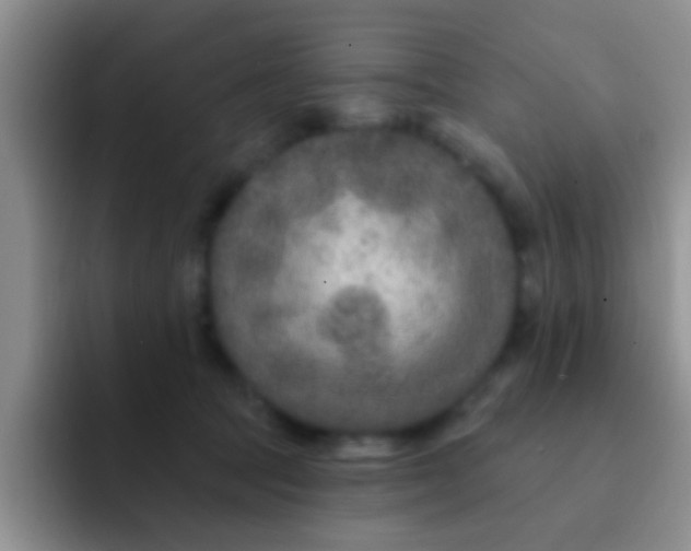 X0000091930369200709261918
