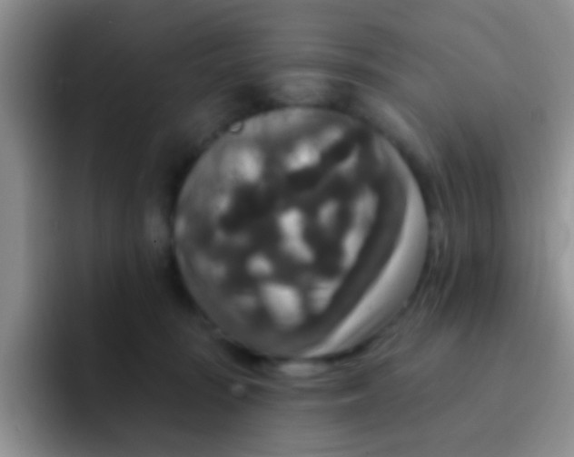 X0000091930371200709261918