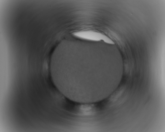 X0000091930373200709261918