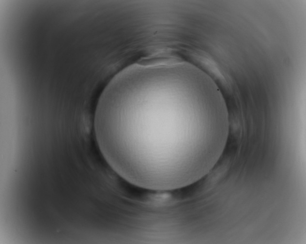 X0000091930374200709261918