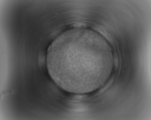X0000091930375200709261918