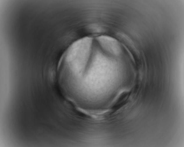 X0000091930376200709261918