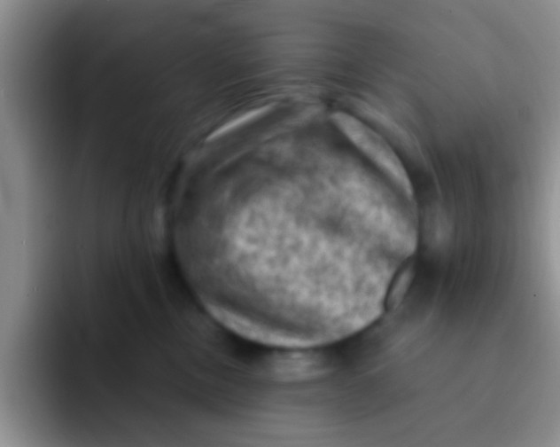 X0000091930378200709261918