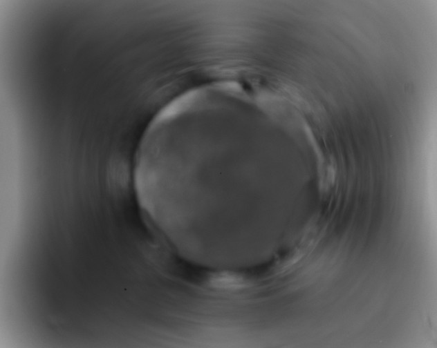 X0000091930380200709261918