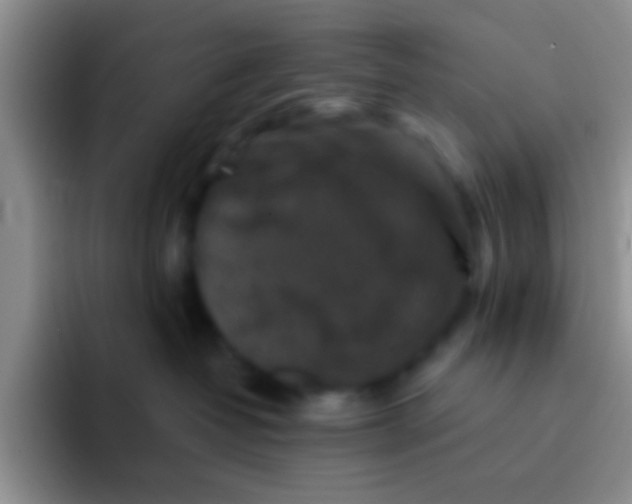 X0000091930382200709261918