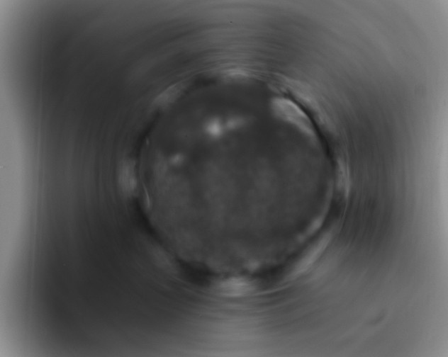 X0000091930383200709261918