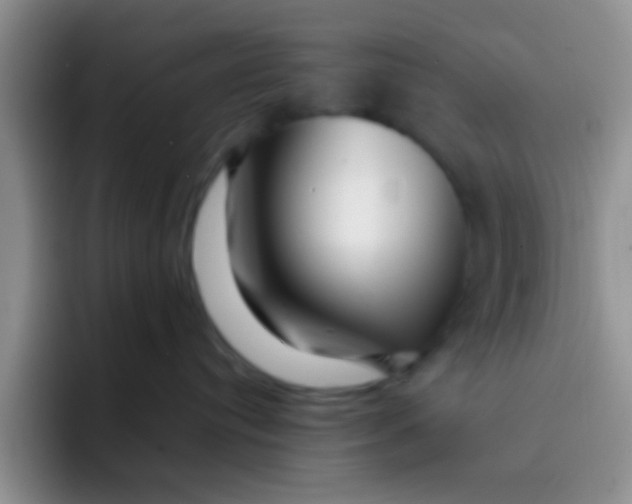 X0000091930384200709261918