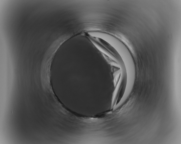 X0000091930385200709261918