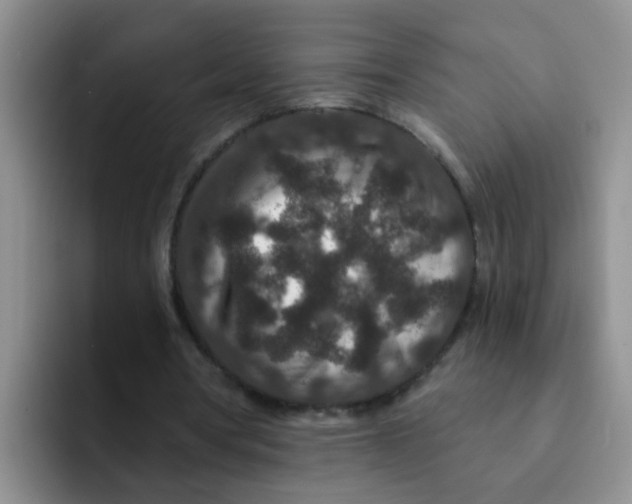 X0000091930386200709261918