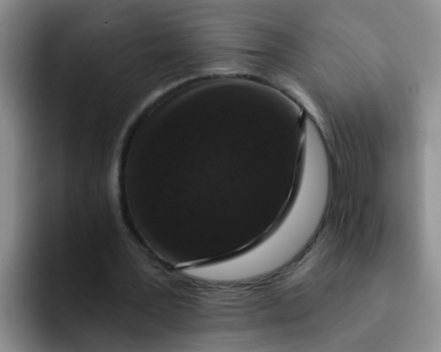 X0000091930387200709261918