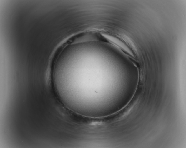 X0000091930388200709261918