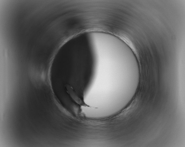 X0000091930389200709261918