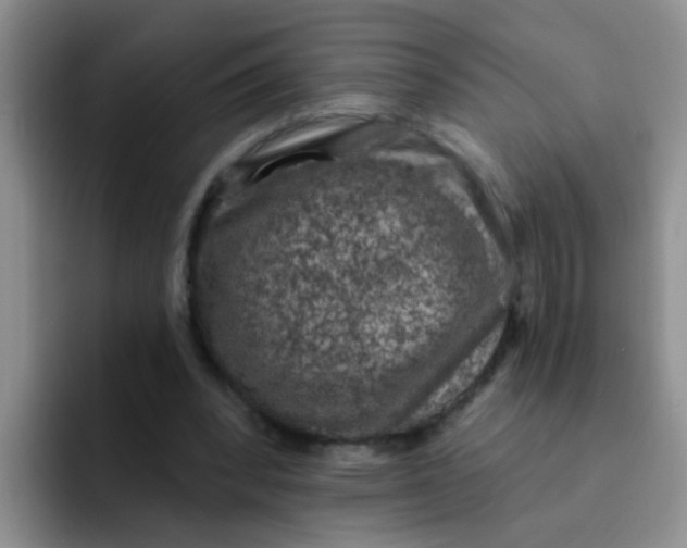 X0000091930392200709261918