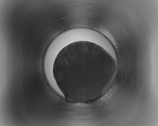 X0000091930393200709261918