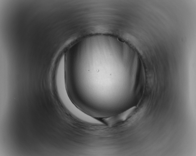 X0000091930395200709261918