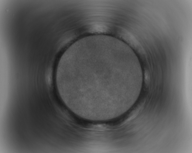 X0000091930396200709261918