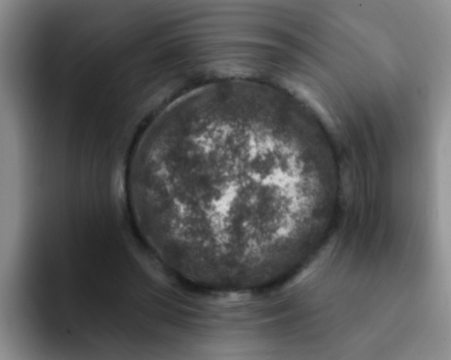 X0000091930398200709261918