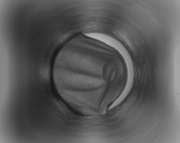 X0000091930400200709261918