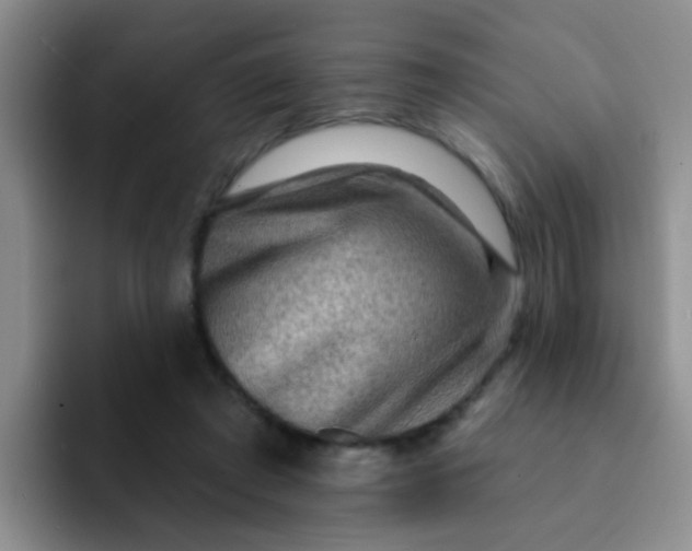 X0000091930401200709261918