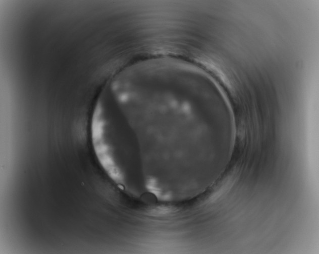 X0000091930402200709261918