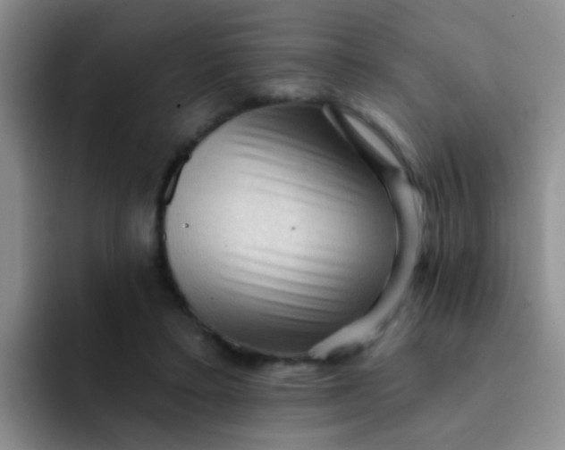 X0000091930403200709261918