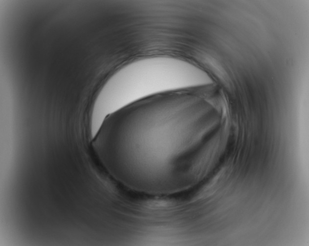 X0000091930404200709261918