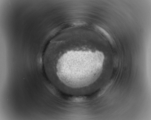 X0000091930405200709261918