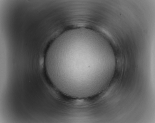X0000091930406200709261918