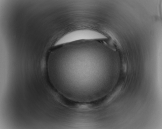 X0000091930407200709261918