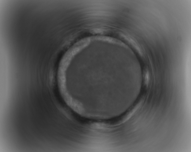 X0000091930408200709261918